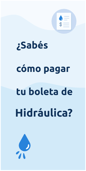 boleta-hidraulica-300x600.gif
